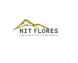 Hit - Flores